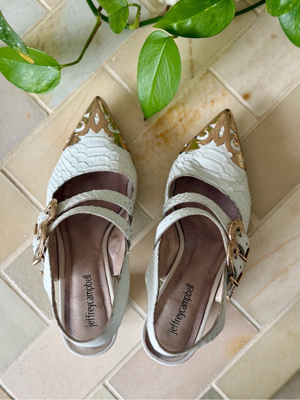 Jeffrey Campbell Walter Slingback Heels with Gold Buckle Detail - 7.5 - Picture 6 of 9